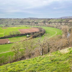 23-03-17 14-30-15 4921